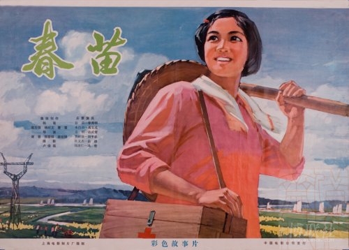 西北纳萨瑞恩学院 Architecture Degree Certificate